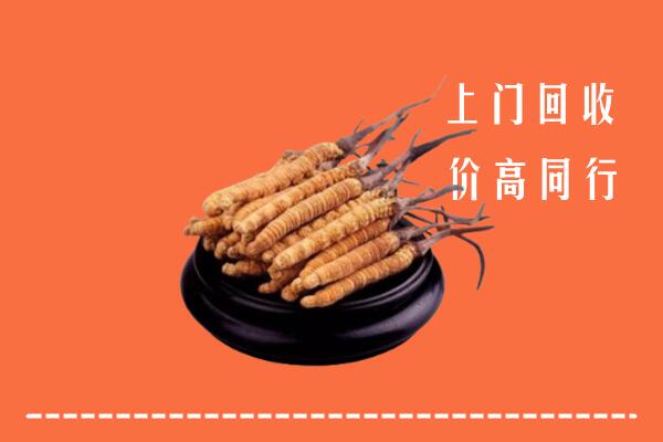 高价求购：固原市泾源县回收散虫草