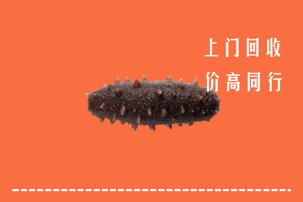 高价求购：固原市泾源县回收海参
