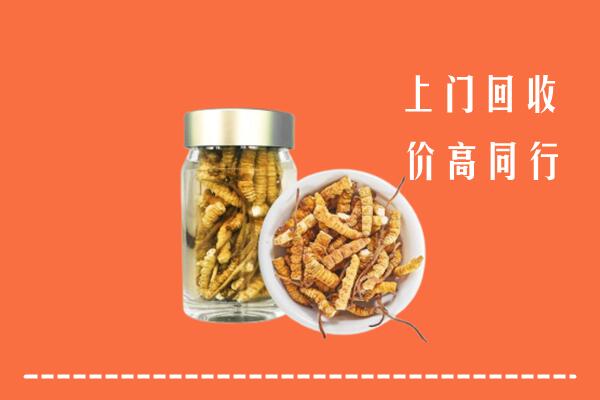 固原市泾源县高价回收冬虫夏草